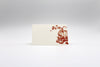 Pumpkins & Squash Place Cards- Double-sided Table Tents (Set of 12) - Juniper Collective LLC