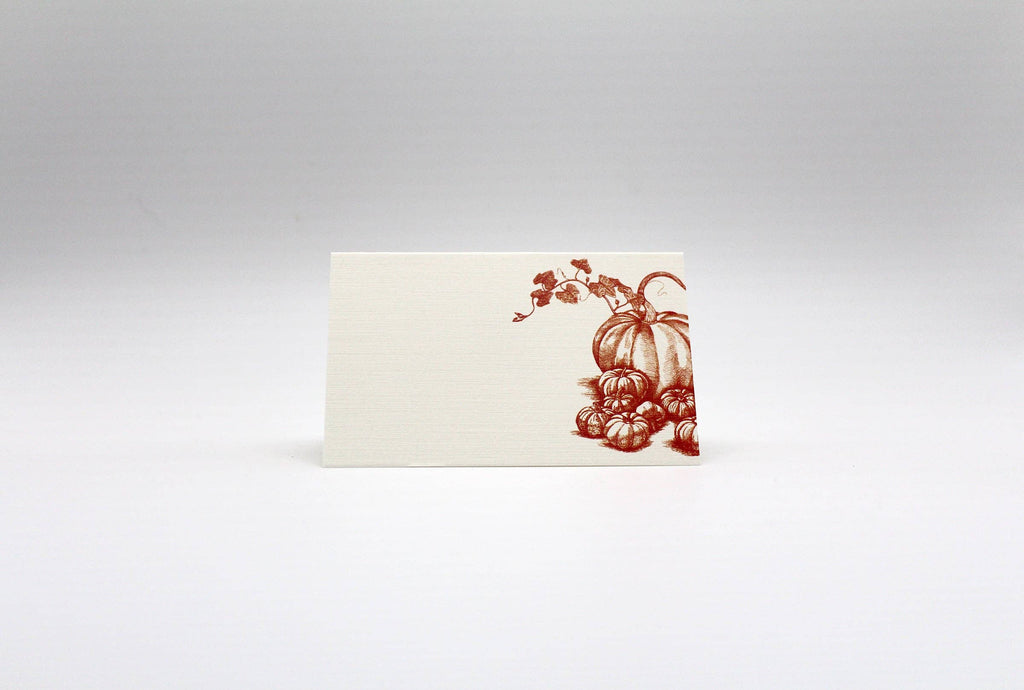 Pumpkins & Squash Place Cards- Double-sided Table Tents (Set of 12) - Juniper Collective LLC