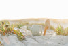 Dried Thyme Silicone Garden Set - Juniper Collective LLC