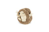 Forest Friends - Hamilton the Hedgehog Dog Toy - Juniper Collective LLC