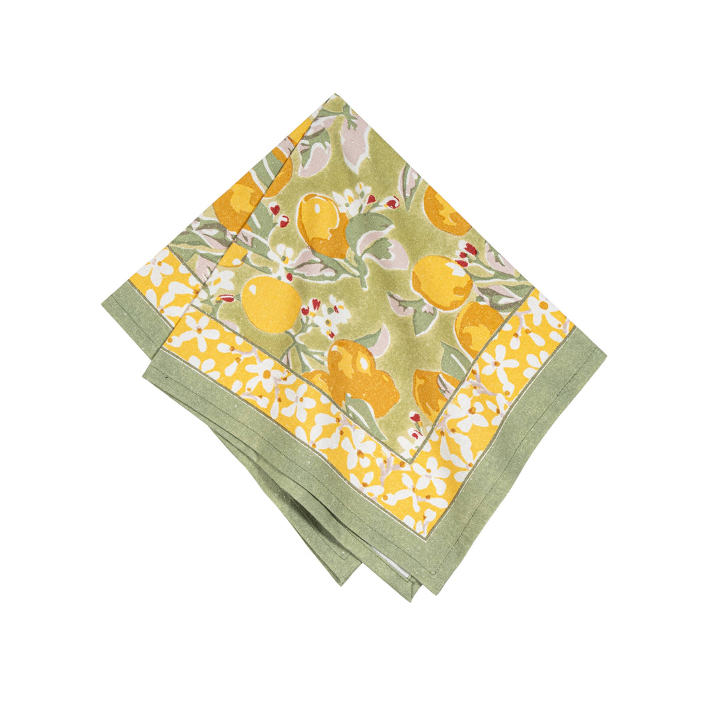 Citron Vert & Yellow Napkins 19x19 - Set of 4 - Juniper Collective LLC