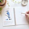Birds watercolor workbook - Juniper Collective LLC