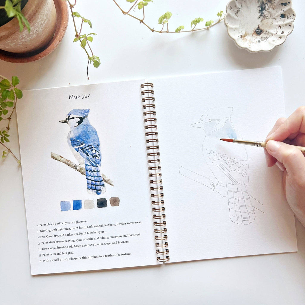 Birds watercolor workbook - Juniper Collective LLC
