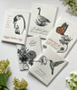 Humming With Excitement For Your Birthday Card - Juniper Collective LLC