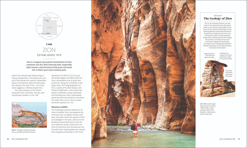 USA Nat'l Parks 24 - Juniper Collective LLC