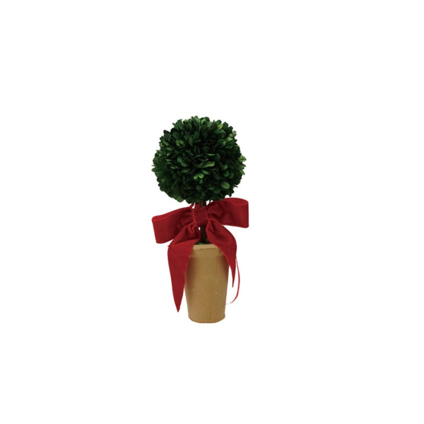 Dried Boxwood Topiary in Pot with Red Velvet Bow - Juniper Collective LLC