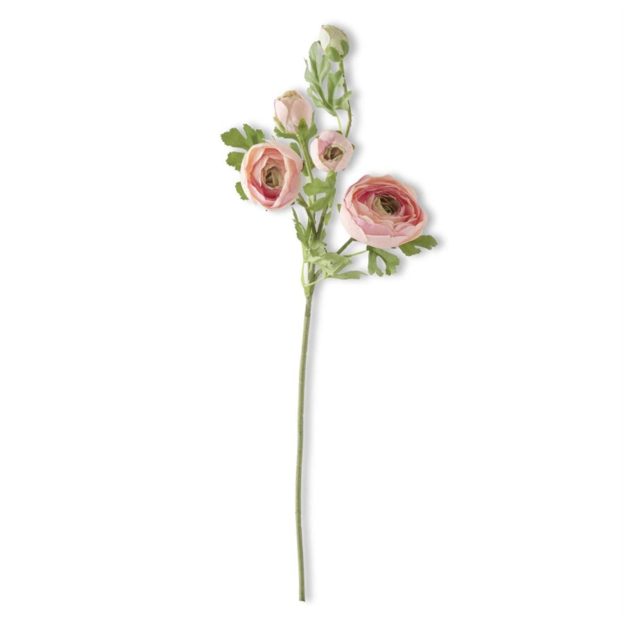 Pink Ranunculus Stem - Juniper Collective LLC