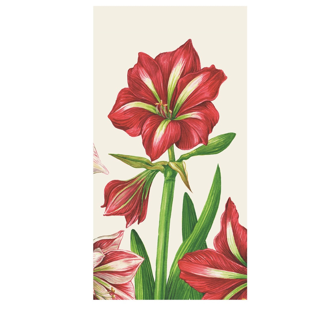 Amaryllis Blooms Guest Napkins - Juniper Collective LLC