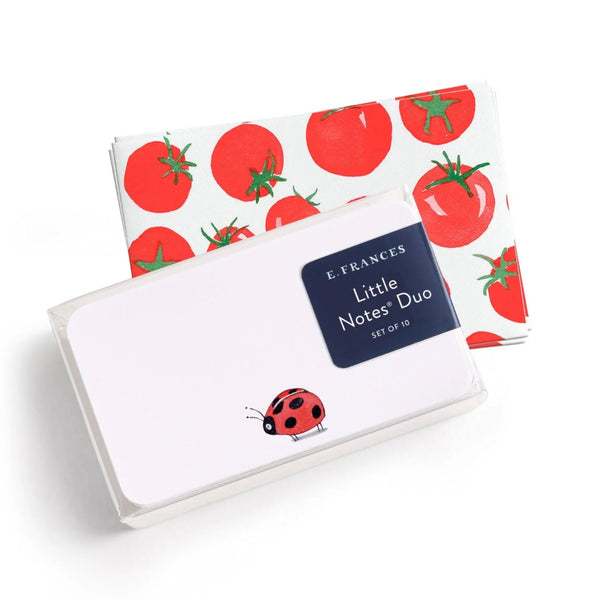 Ladybug Little Duo Note Set - Juniper Collective LLC