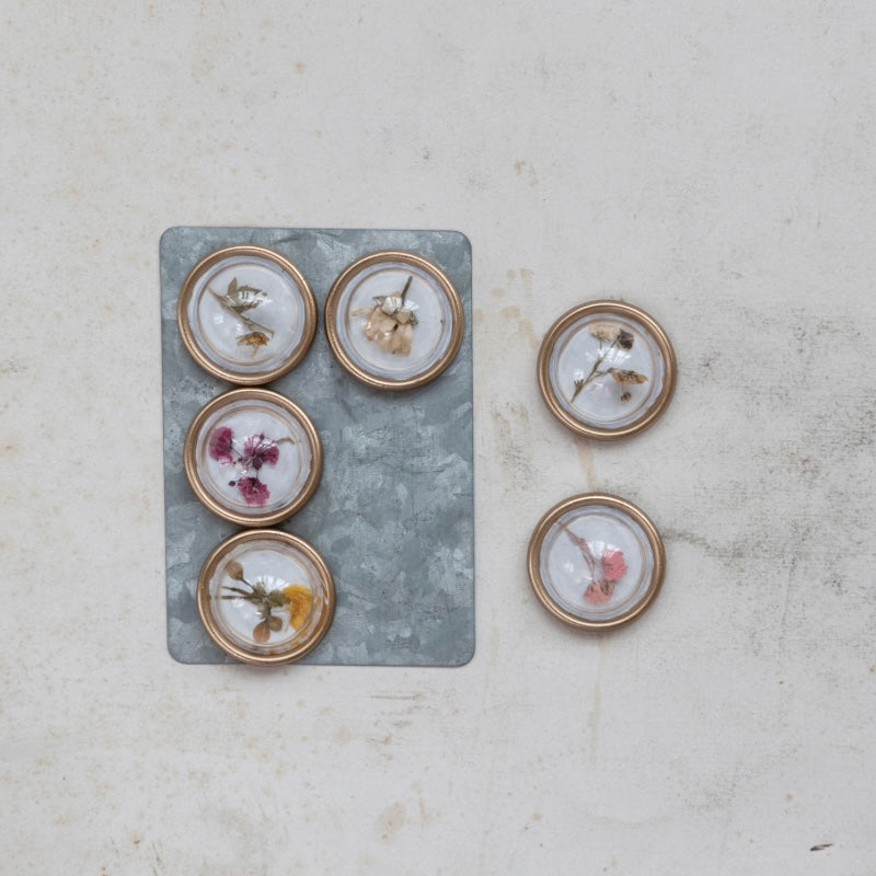 Botanical Magnets - Juniper Collective LLC