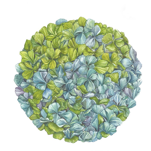 Hydrangea Placemat -Set of 12 - Juniper Collective LLC