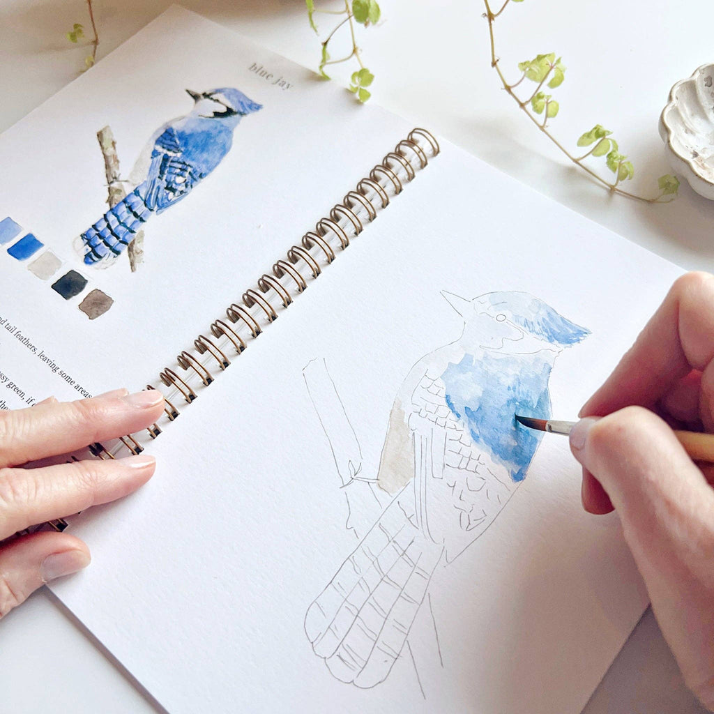 Birds watercolor workbook - Juniper Collective LLC
