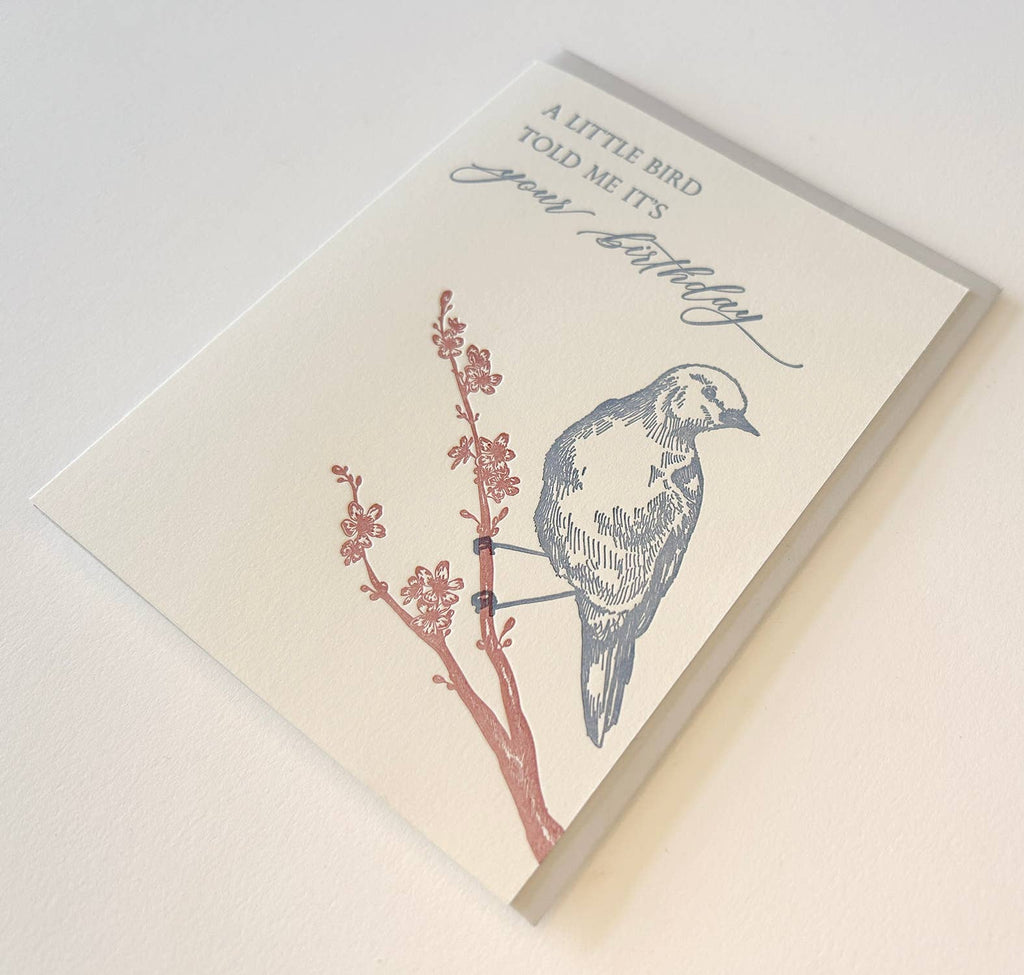 A Little Bird Told Me It’s Your Birthday - Juniper Collective LLC