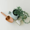 Dried Thyme Silicone Garden Set - Juniper Collective LLC
