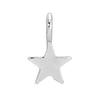 Charm Garden - Silver - Star Charm - Juniper Collective LLC